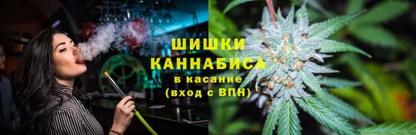 сатива Нефтекумск