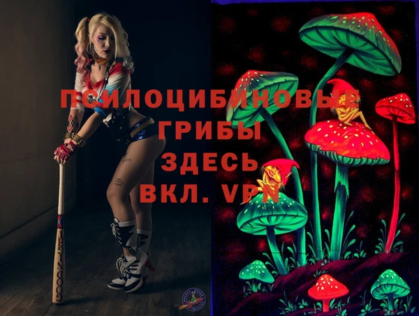 эйфоретик Алексин