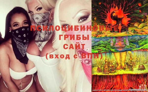 соль ск Алзамай