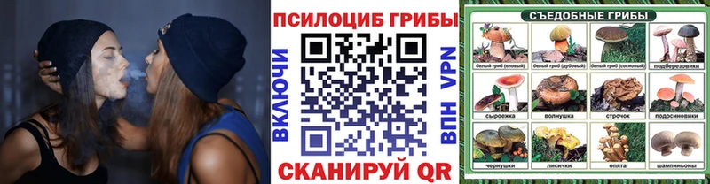 Псилоцибиновые грибы Magic Shrooms  где найти   Катайск 